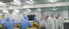 <b>国务院食安办等六部分印发《食物添加剂问题分</b>